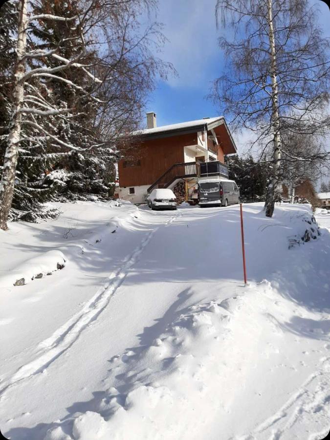 Chalet Spacieux Et Convivial La Toussuire Fontcouverte-la-Toussuire エクステリア 写真
